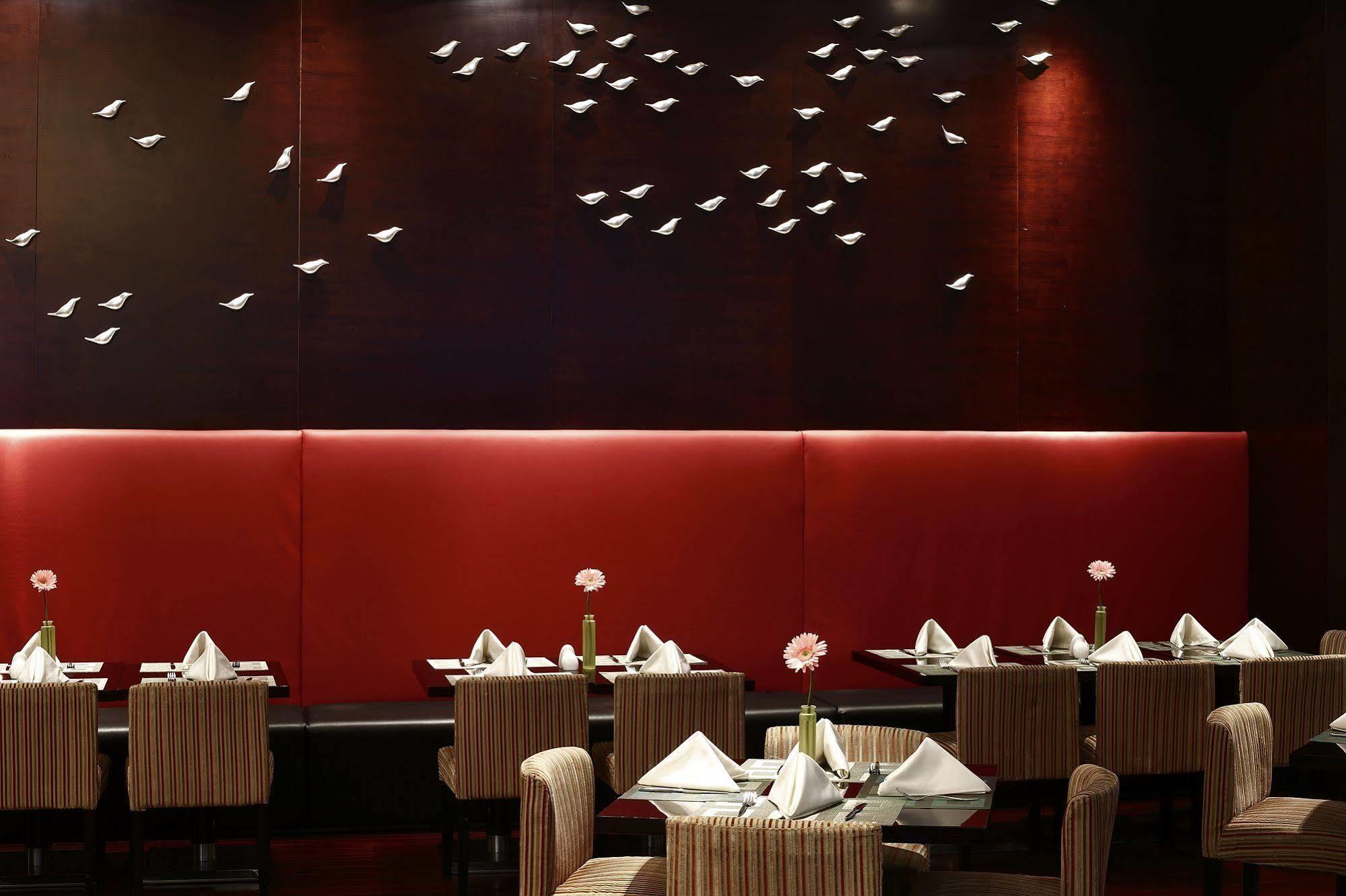 Hotel The Qube -close To Pudong International Airport And Land